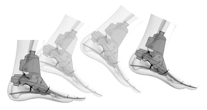 Biomimetic Design Technology in a Foot